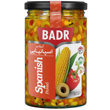 ترشی اسپانیایی با سس مخصوص بدر 650 گرمی